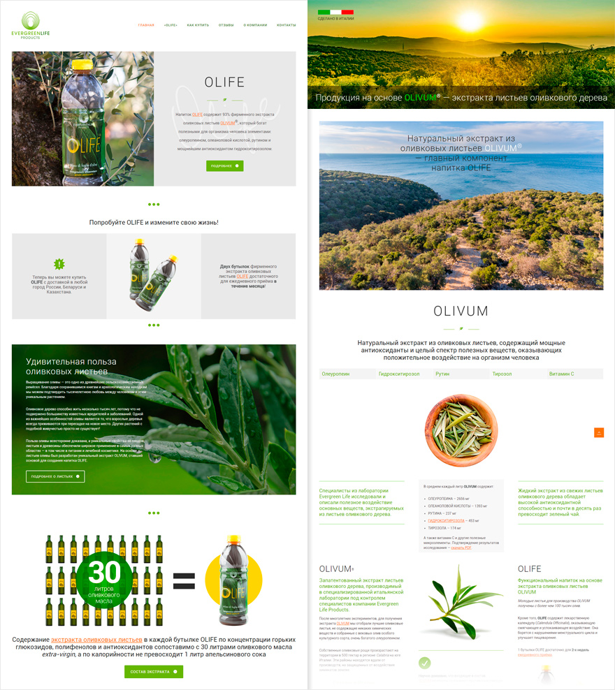 �������� ������ � ���������� ������� ��� Evergreen Life Products